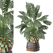 indoor Plants Collection 1523