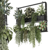 indoor plants collection 1530