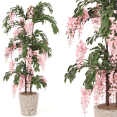 Elegant Cascading Pink Blossom tree