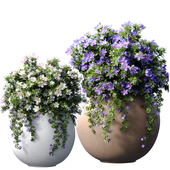 Flower beds,bouquets,Petunia flowers in Luxury classic modern garden pots,vases,flowerpots  for decoration in Provence style for Porch,Terrace,balcony,Entrance group.Indoor plant