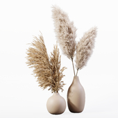 Pampas Plant 09