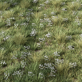 Grass With Flower Set.5