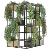 indoor hanging Plants Collection 1619