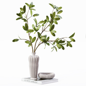 Plant Bouquet 16