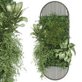 indoor hanging plants in metal shelf 1657