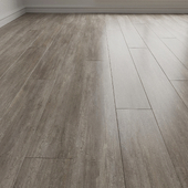 Laminate. Parquet. Board 24