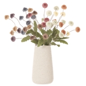 Dried Billy Buttons in White Vase