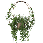 Hanging Wicker Pot