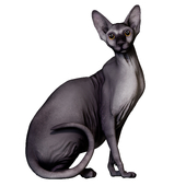 Sphinx
