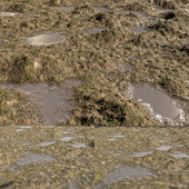 Rugged Remains