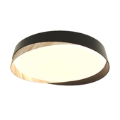 Citilux BONNY CL75435x LED RGB Light with Remote Control