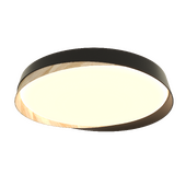 Citilux BONNY CL75445X LED RGB Light with Remote Control