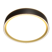 Citilux BOSS CL75125X LED RGB Light with Remote Control