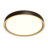 Citilux BOSS CL75135x LED RGB Lamp with Remote control