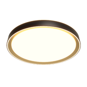 Citilux BOSS CL75145x LED RGB Light with Remote Control