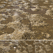 Muddy Foliage