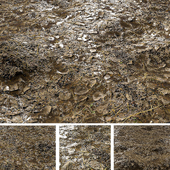 Wet Forest Floor