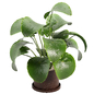 Boo Large Planter Pot with Drainage - Indoor - 3D model