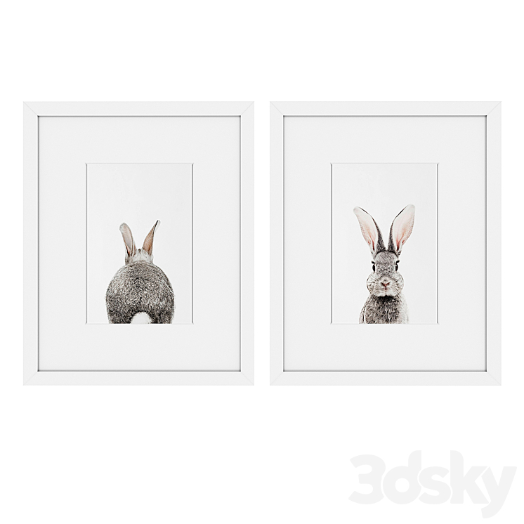 Rabbit - Frame - 3D model