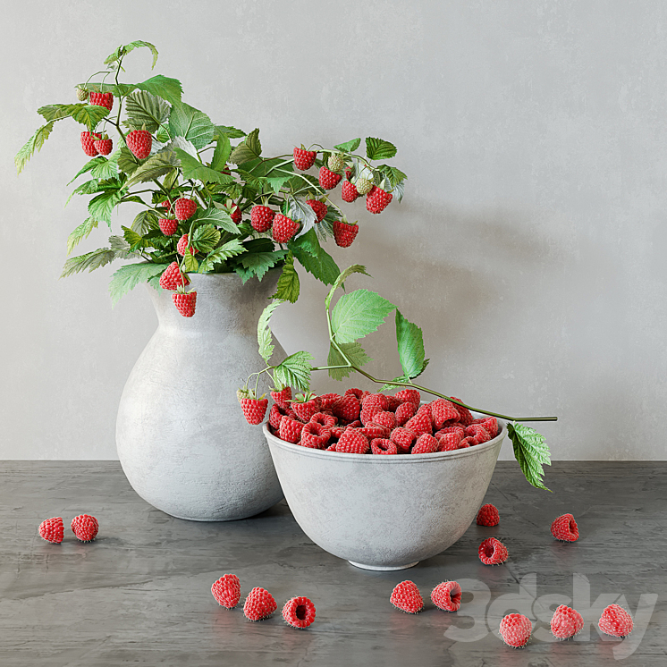 Raspberry Tree Model Raspberries - Bouquet - 3D model