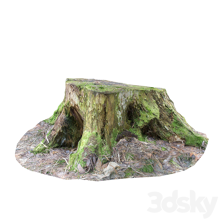 Stump 01 - Environment elements - 3D model