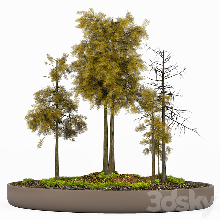Tree Modwl tree model - Tree - 3D model