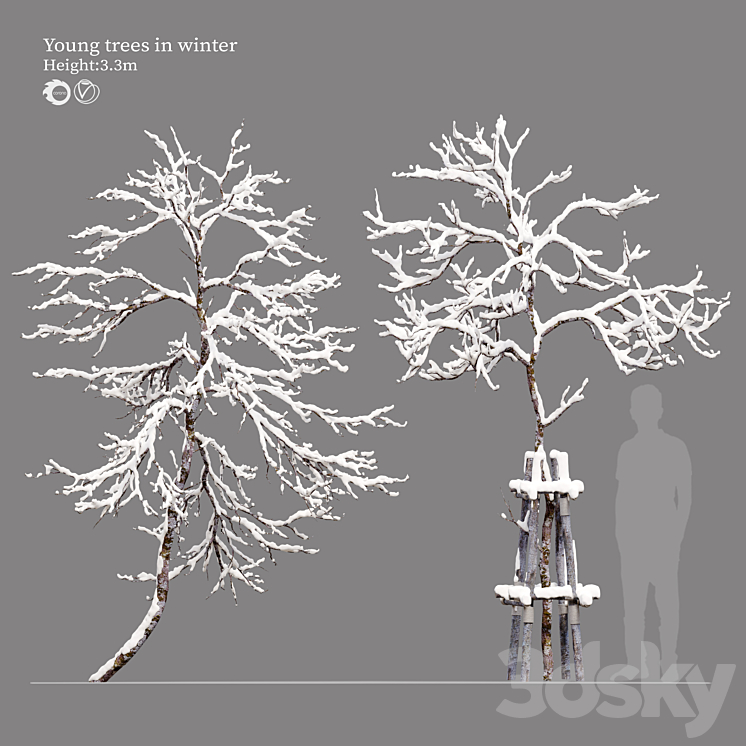 Winter Tree Model winter young trees - Tree - 3D model