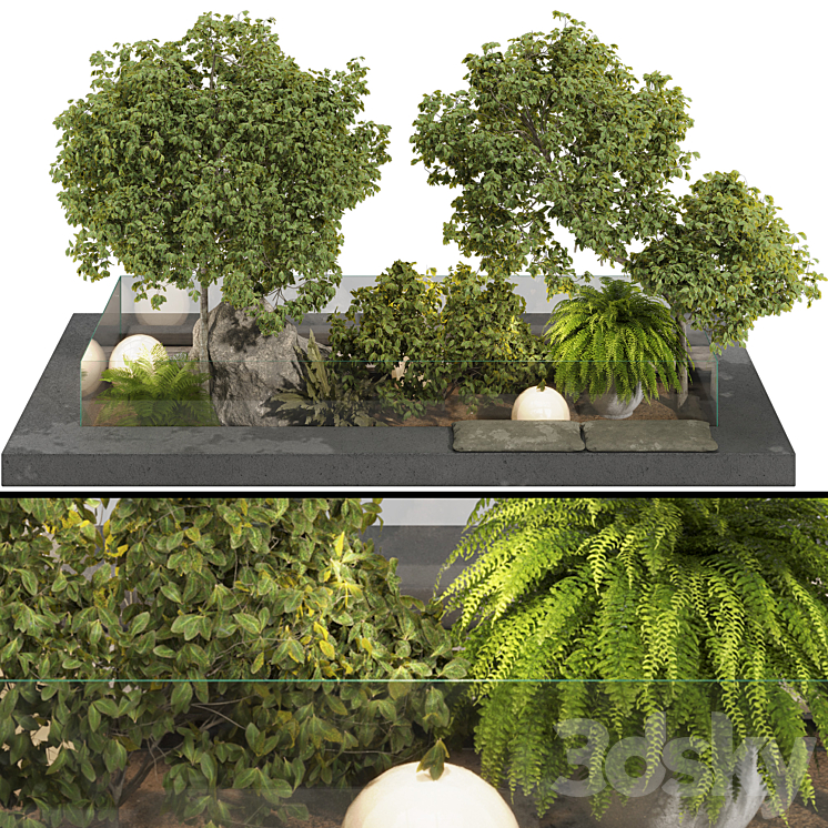 Backyard and Landscape Garden Tree and Bush Set 138 - Outdoor - 3D model