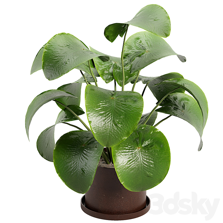 Boo Large Planter Pot with Drainage - Indoor - 3D model
