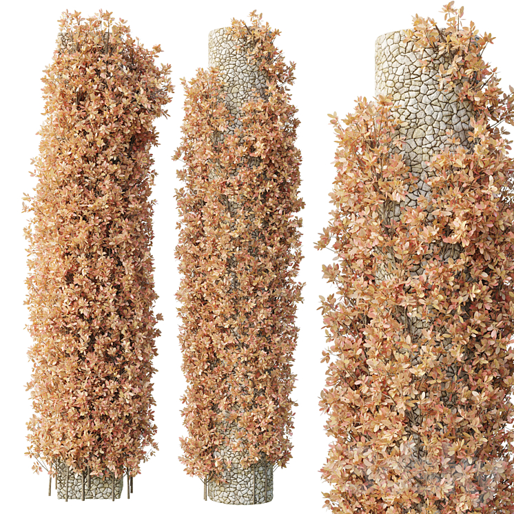 Column plant - pillar plant - column garden ivy 13 - Fitowall - 3D model