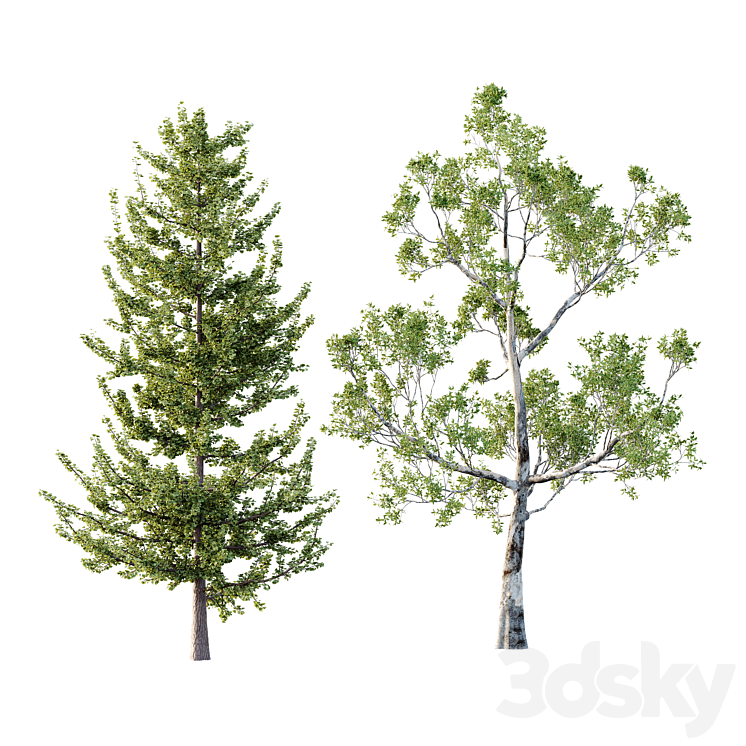 Different Tree Model Different Trees 45 - Tree - 3D model