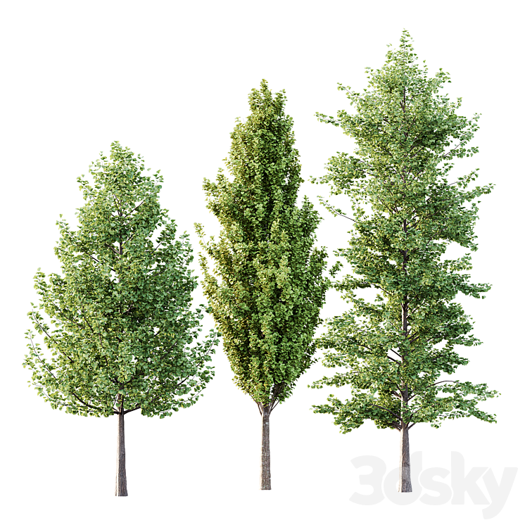 Different Tree Model Different Trees 55 - Tree - 3D model