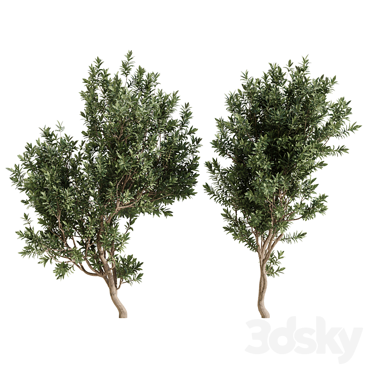 Tree Modwl Tree Set Vol 14 - Tree - 3D model