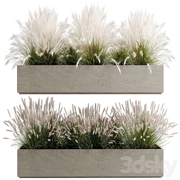 Pennisetum Grass Box Planter - Outdoor Ornamental Grass 289 - Outdoor ...