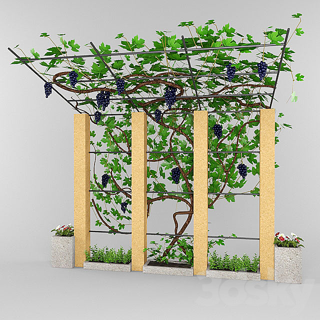 3d model
