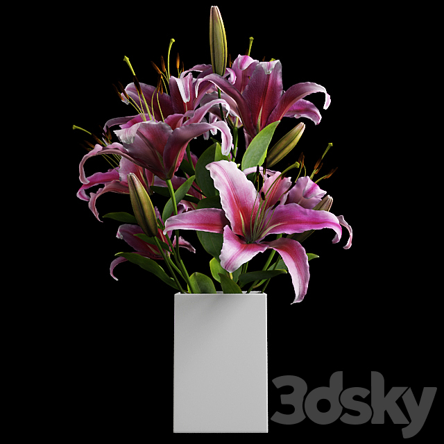 3d model