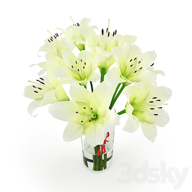 3dsky Free Download