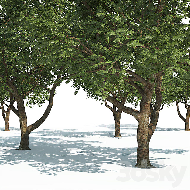 3dsky Free Download