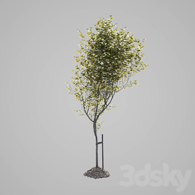 3d model