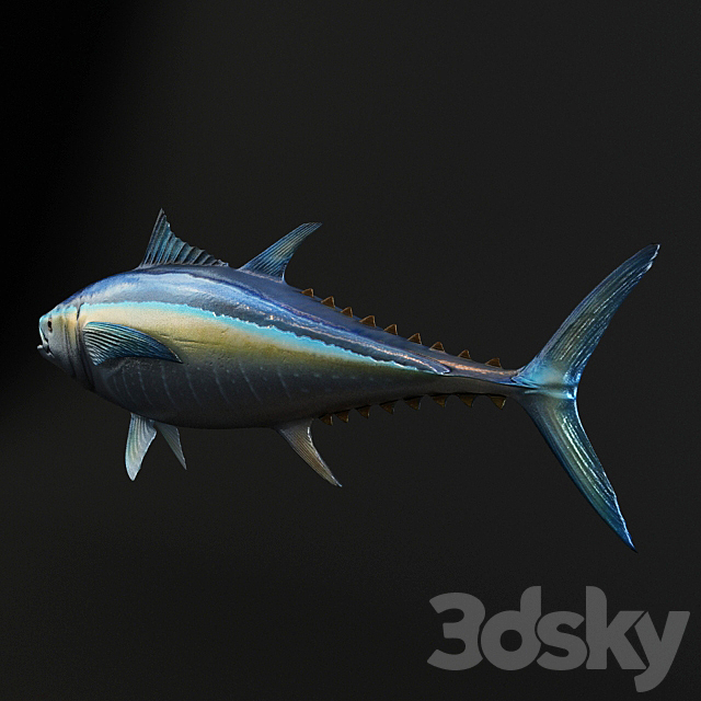 3d model