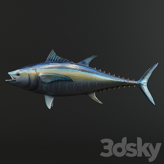 3dsky Free Download