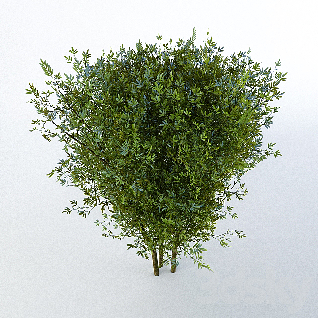 3d model