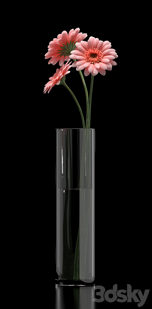 3d model