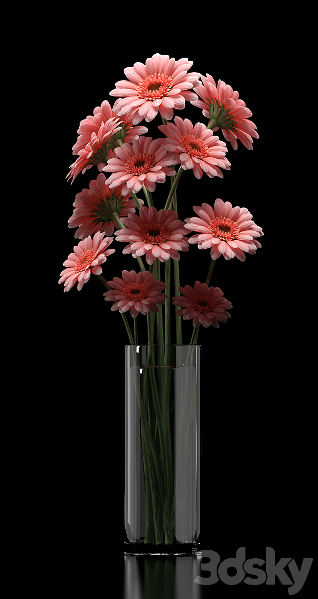 3dsky Free Download