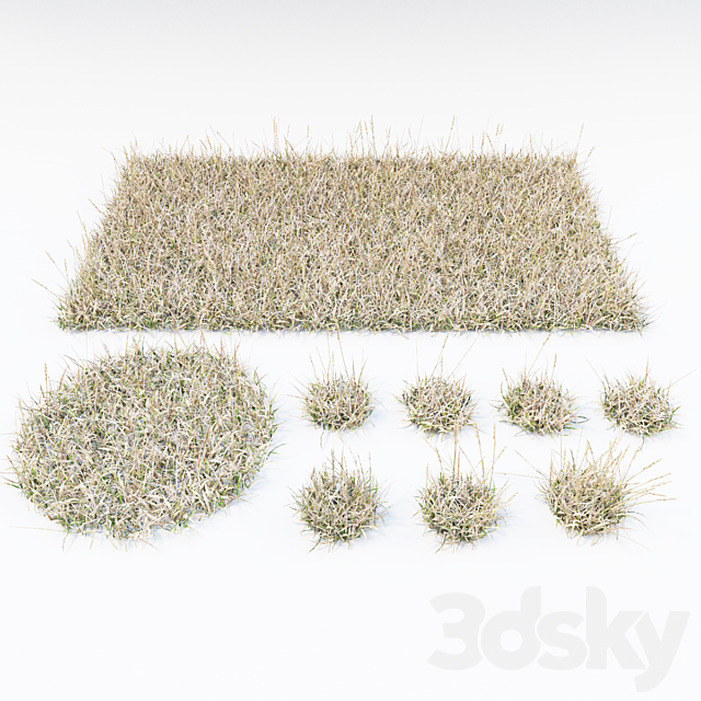 dry grass 3ds Max - thumbnail 3