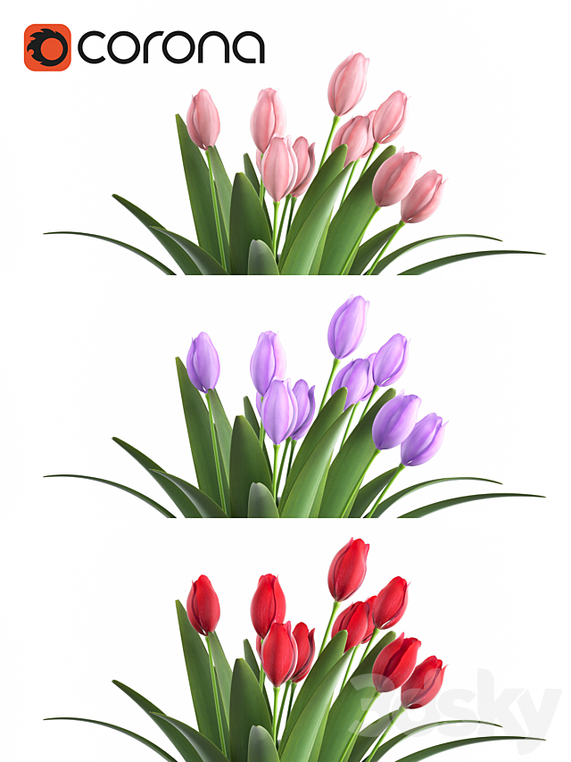 3d model