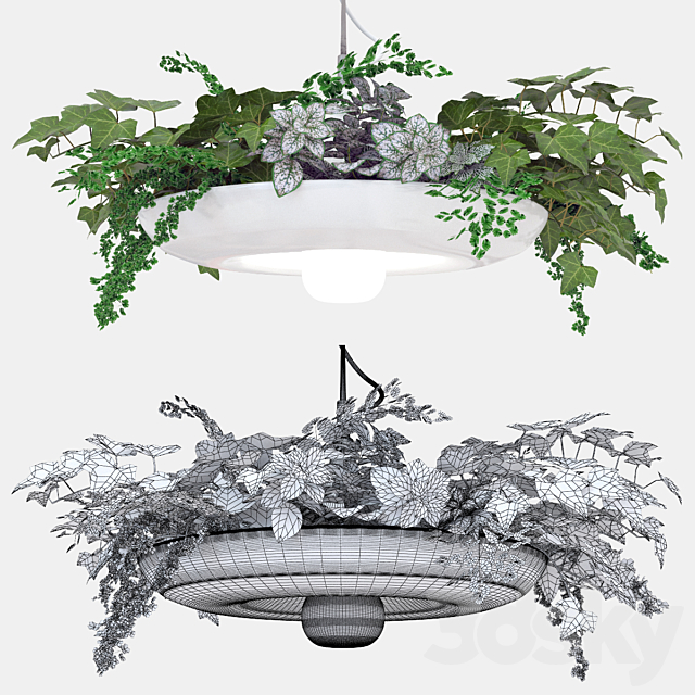 3d model