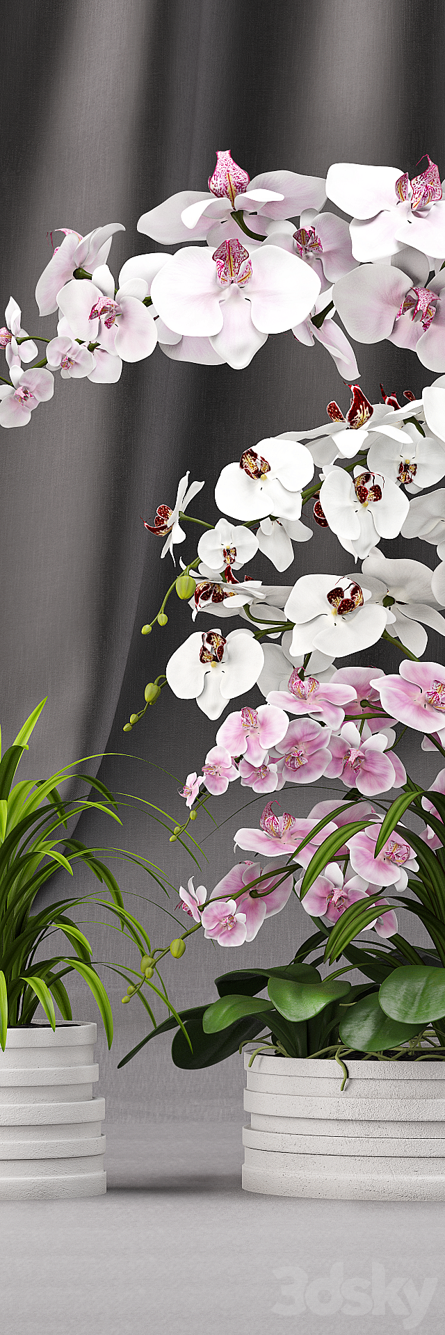 Orchid arrangement 7 3ds Max - thumbnail 2