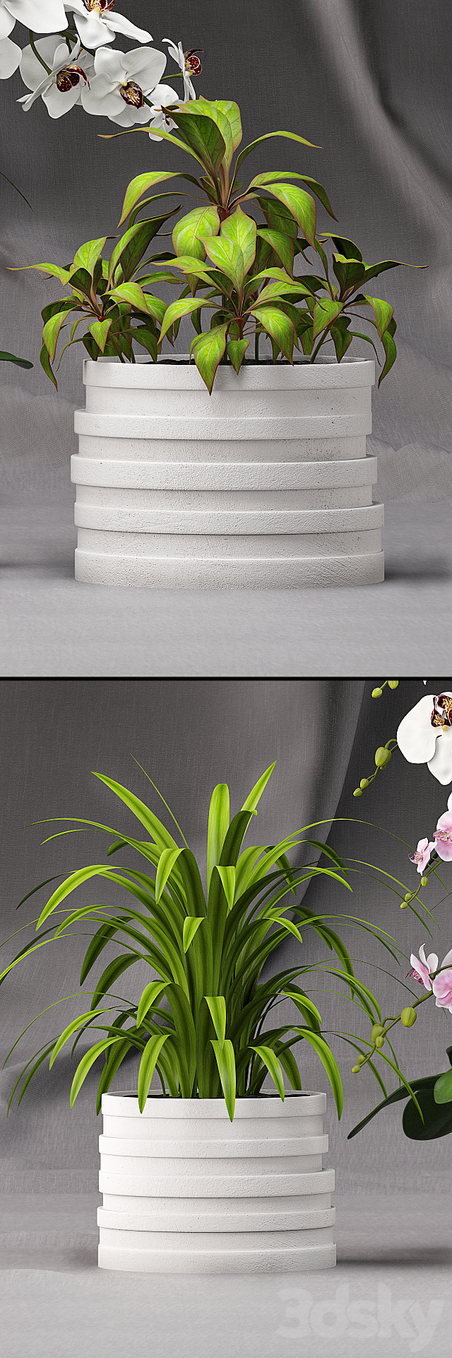 Orchid arrangement 7 3ds Max - thumbnail 3
