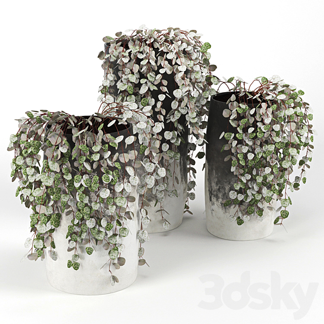 3d model